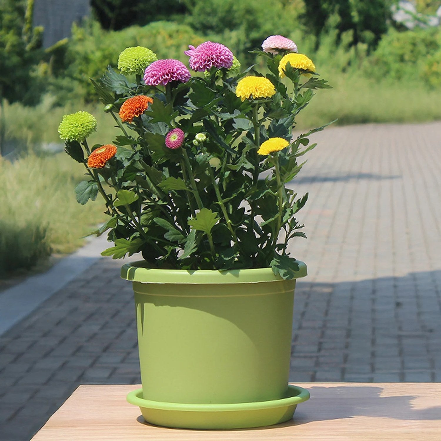 Pot de fleurs cylindrique en résine vert citron vue face