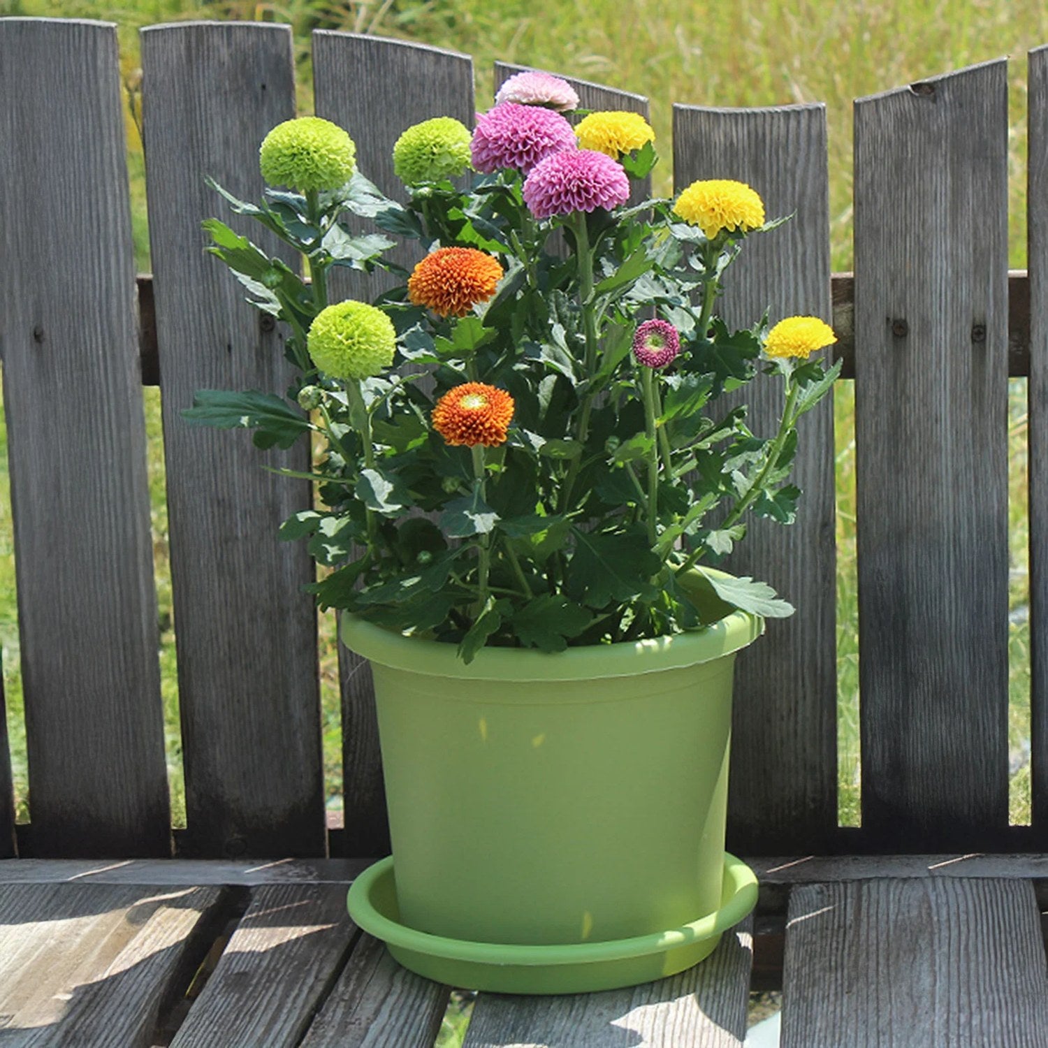Pot de fleurs cylindrique résine avec plateau de drainage