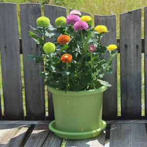 Pot de fleurs cylindrique résine avec plateau de drainage