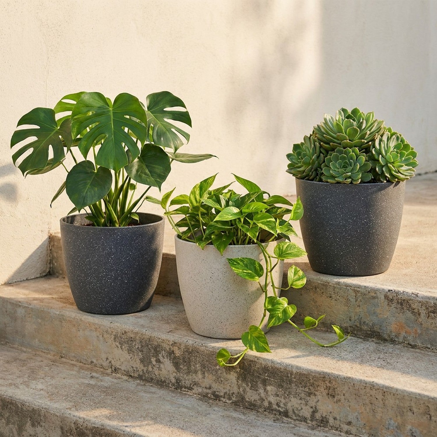 Pots de fleurs givrés avec plantes sur terrasse extérieure