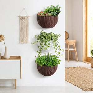 Trois pots muraux demi-lune imitation rotin en jardin vertical décoratif