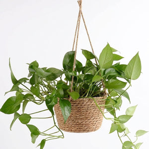 Pot suspendu en jute sur fond blanc, vue produit