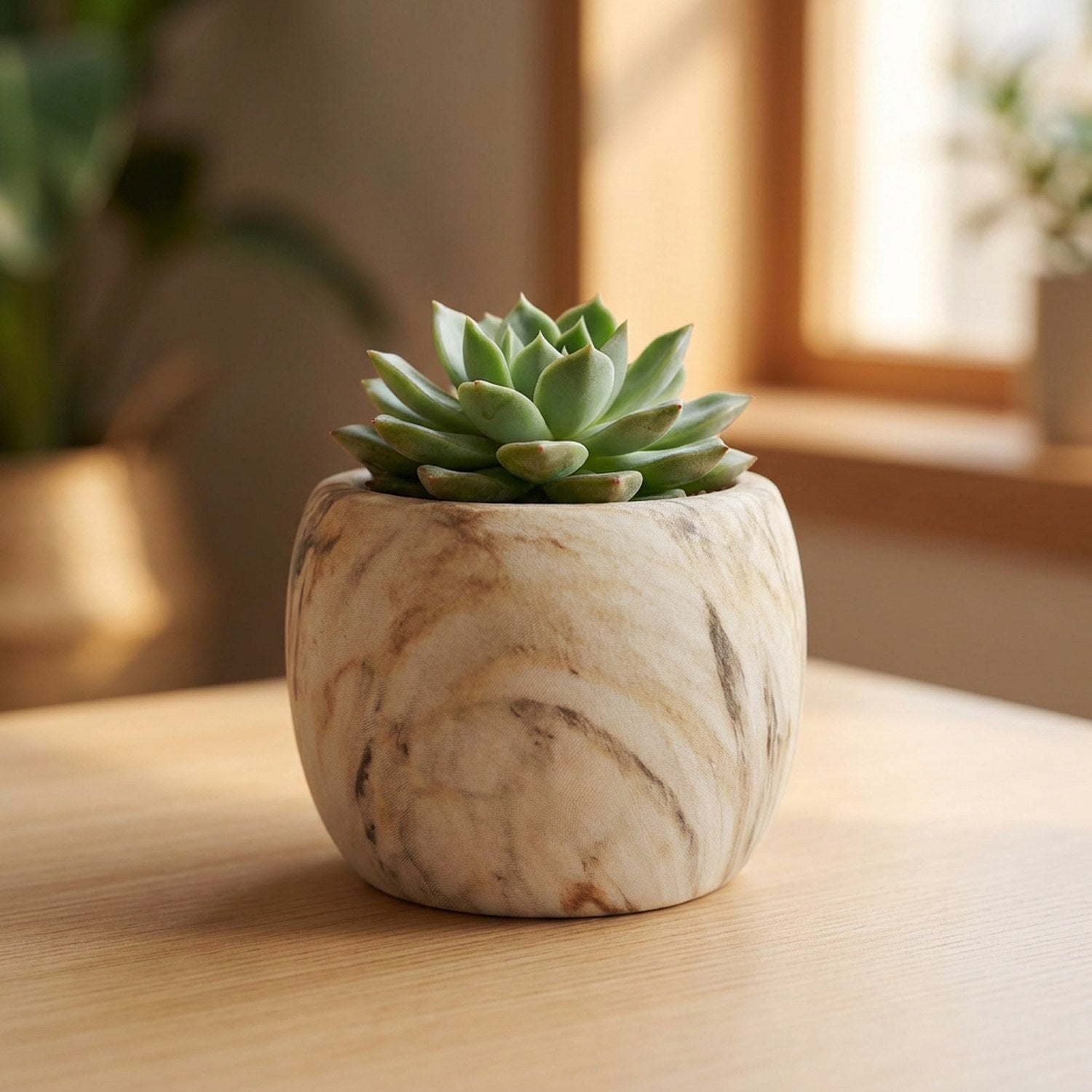 Pot de fleurs rond en céramique effet marbre beige garni d'une succulente