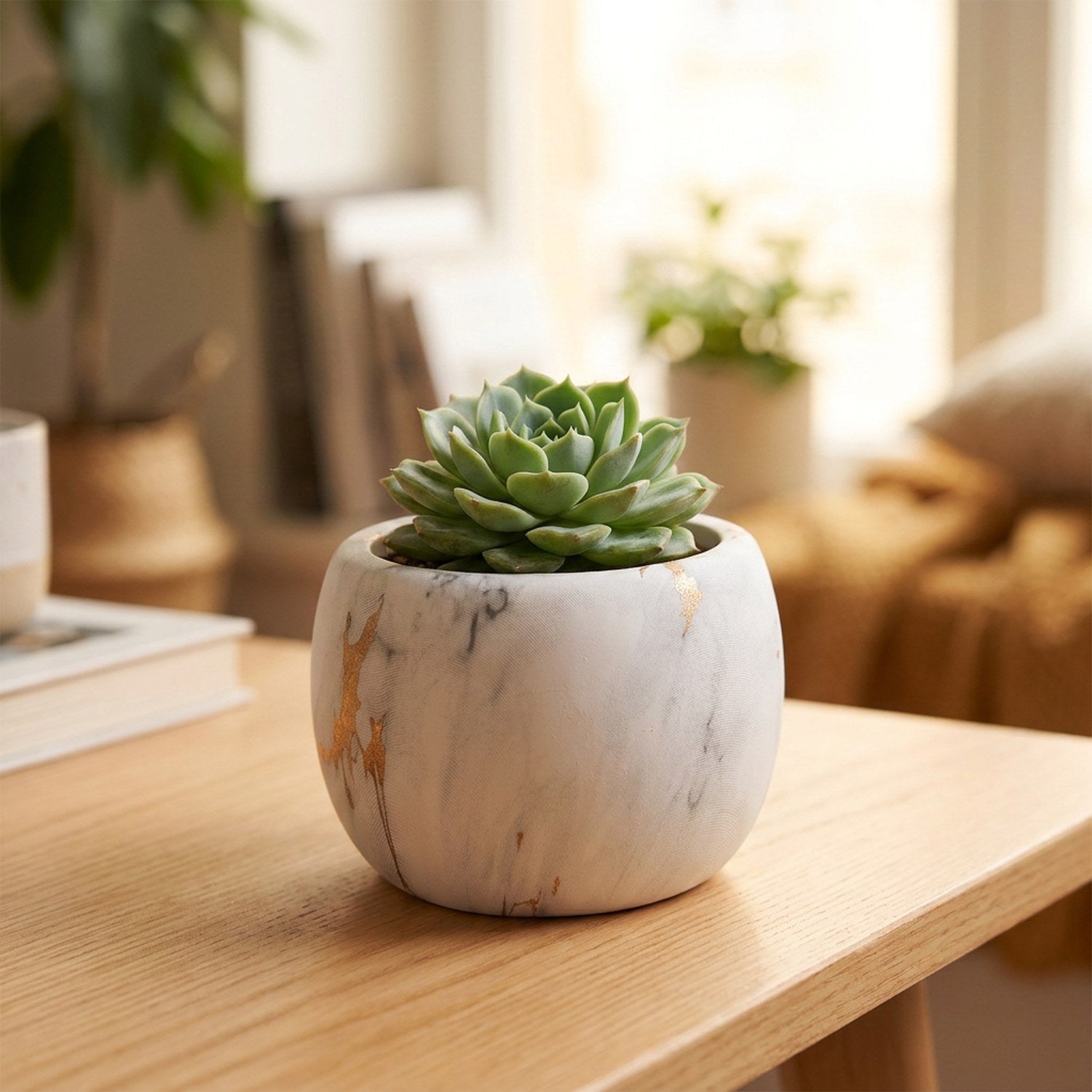 Pot de fleurs rond en céramique effet marbre blanc et or garni d'une succulente