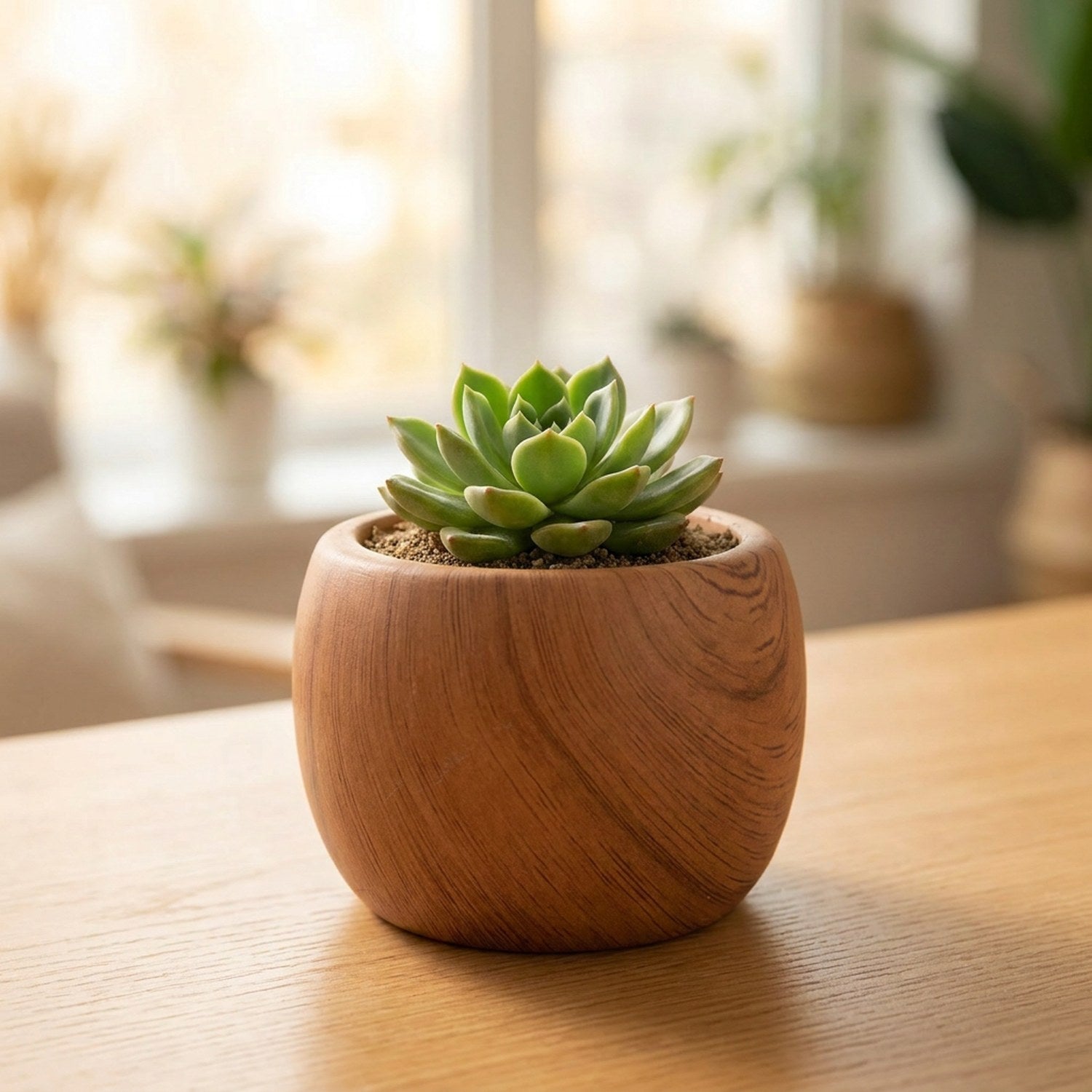 Pot de fleurs rond en céramique effet bois garni d'une succulente