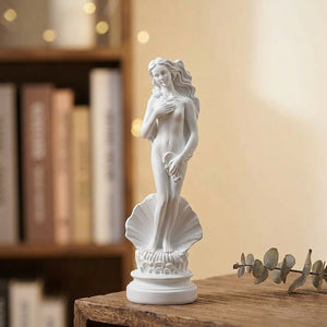 Statue Vénus résine blanche sur étagère bois avec livres et plante sèche décoration