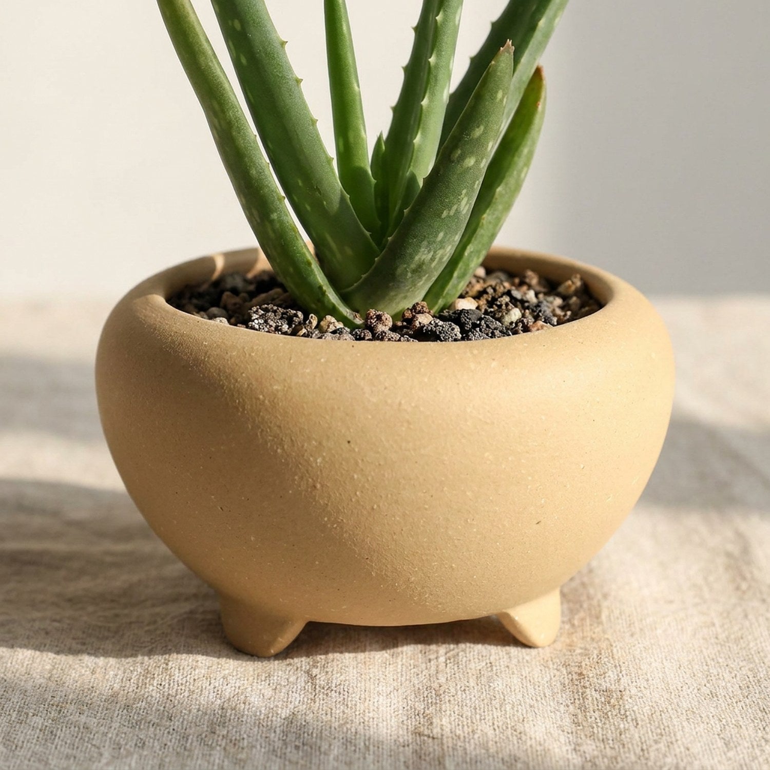 Mini pot bonsaï tripode beige en grès rouge avec aloe vera