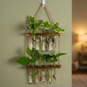 Vase mural deux étages en bois foncé avec tubes en verre et boutures