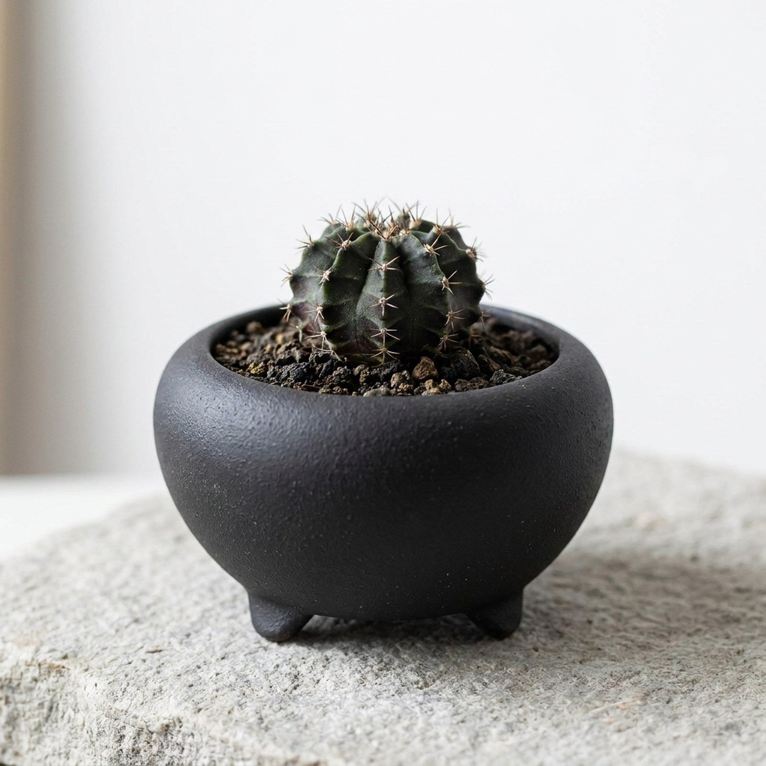Mini pot bonsaï tripode noir en grès rouge avec cactus