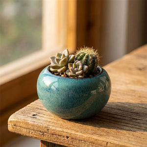 Sphère céramique turquoise avec succulentes et cactus
