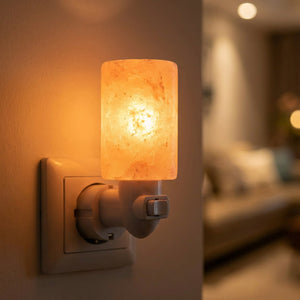 Lampe de sel de l'Himalaya modèle cylindre sculpté allumé
