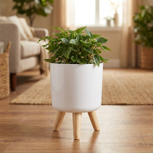 Cache-pot blanc sur pieds en bois avec une plante verte