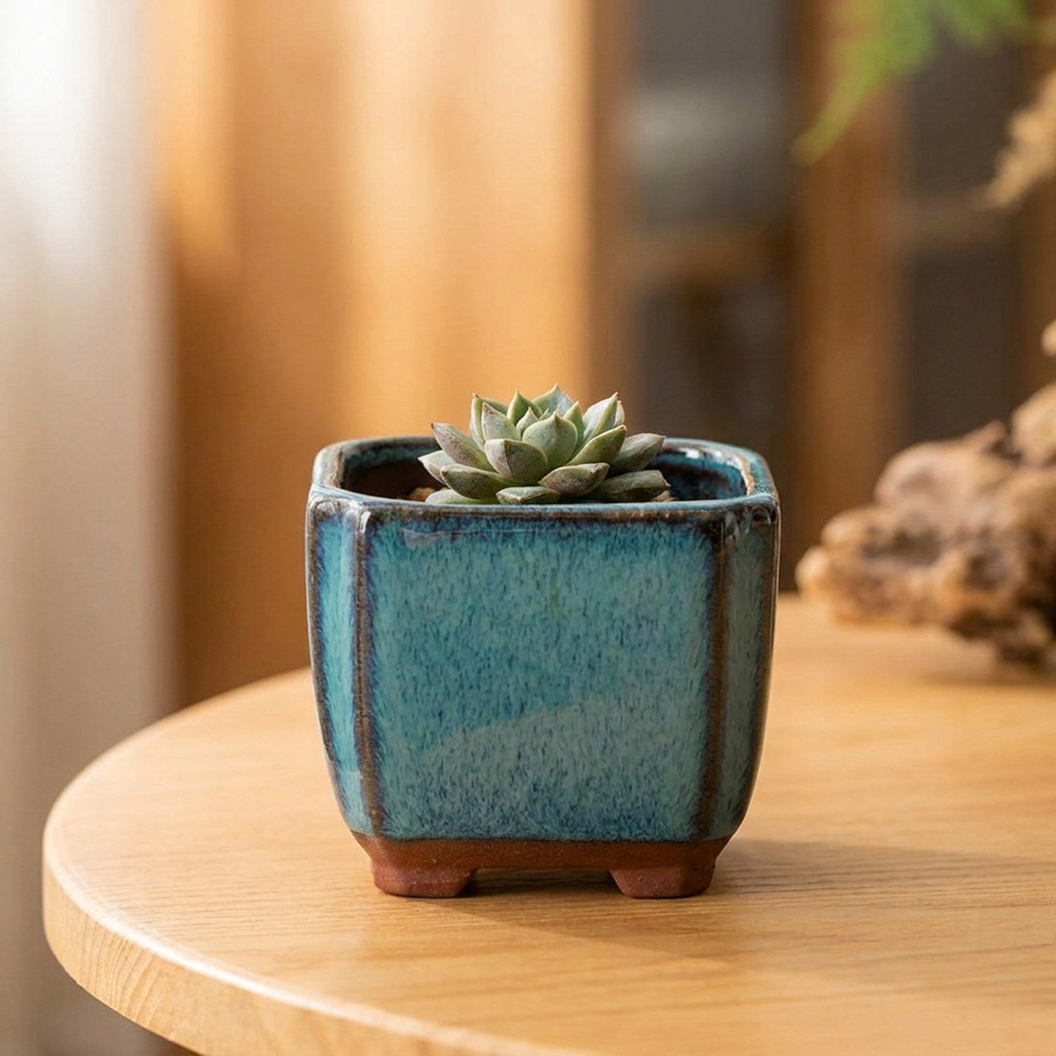 Pot à bonsaï carré en céramique émaillée turquoise avec une plante