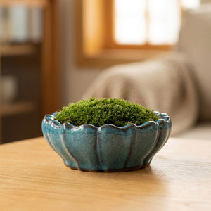 Pot à bonsaï en forme de lotus en céramique émaillée turquoise avec de la mousse