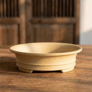Pot à bonsaï en céramique coloris Beige