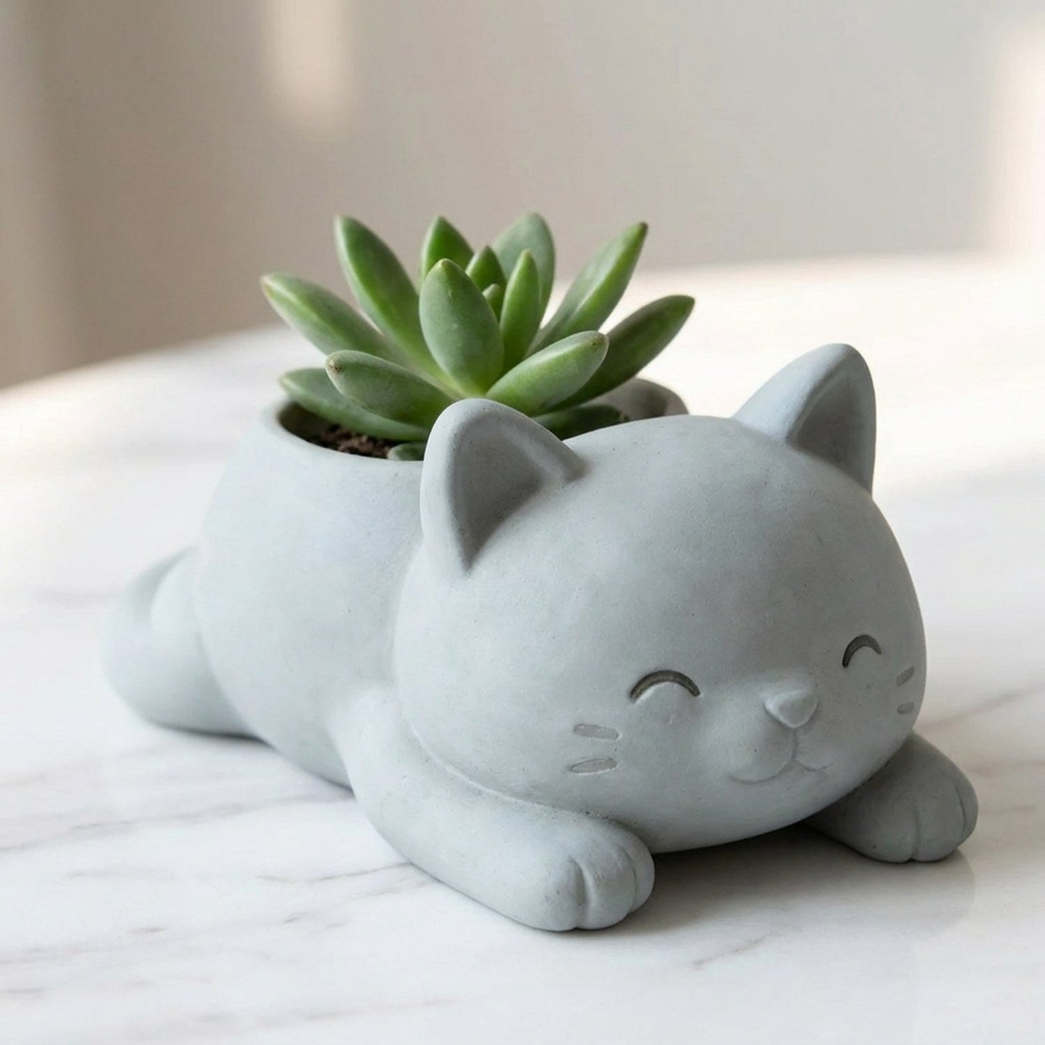 Pot de fleurs chat gris clair avec succulente sur surface marbre