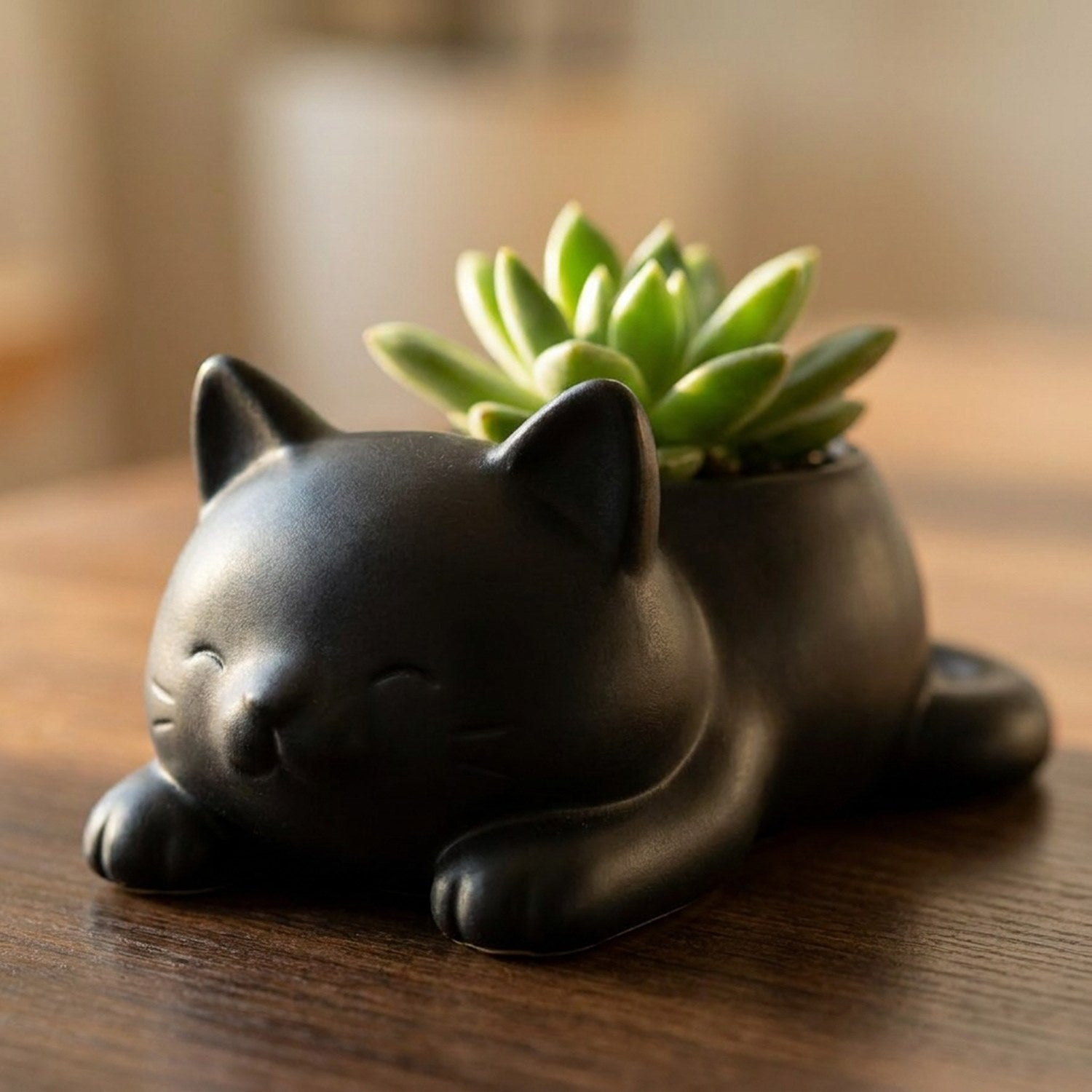 Cache-pot chat noir mat avec succulente sur bois sombre