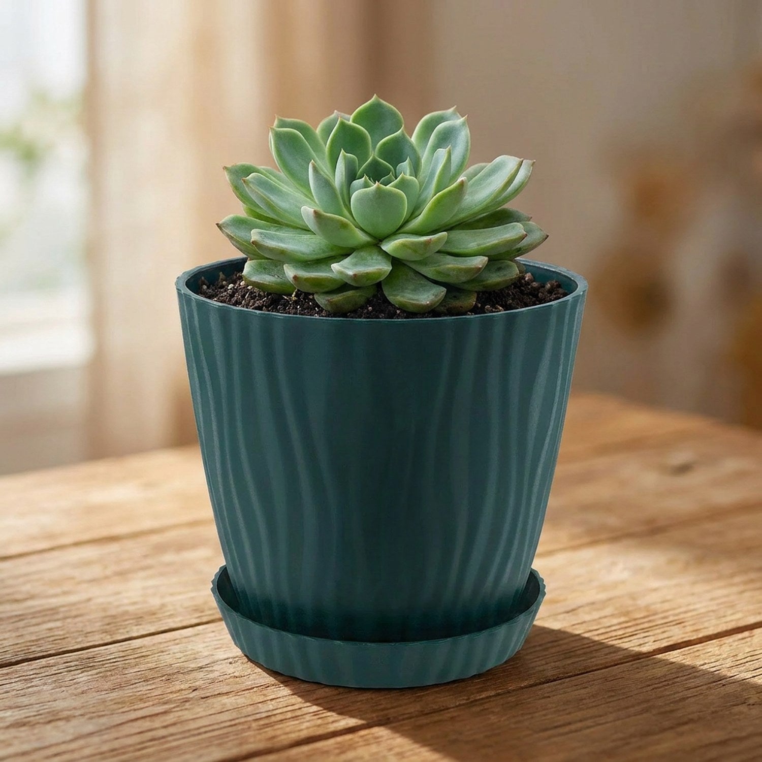Cache-pot PP vert foncé avec succulent, coloris Verte