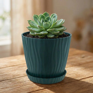 Cache-pot PP vert foncé avec succulent, coloris Verte