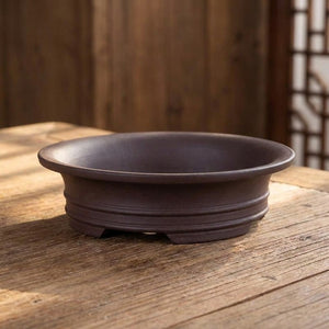 Pot à bonsaï en céramique coloris Violet