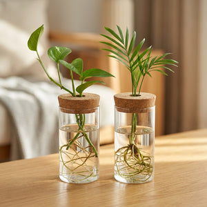 Vases à bouture en verre en lot de 2 avec bouchon en liège