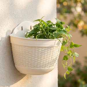 Pot de fleurs mural effet rotin tressé beige suspendu avec une plante verte