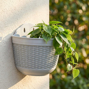 Pot de fleurs mural effet rotin tressé gris suspendu avec une plante verte
