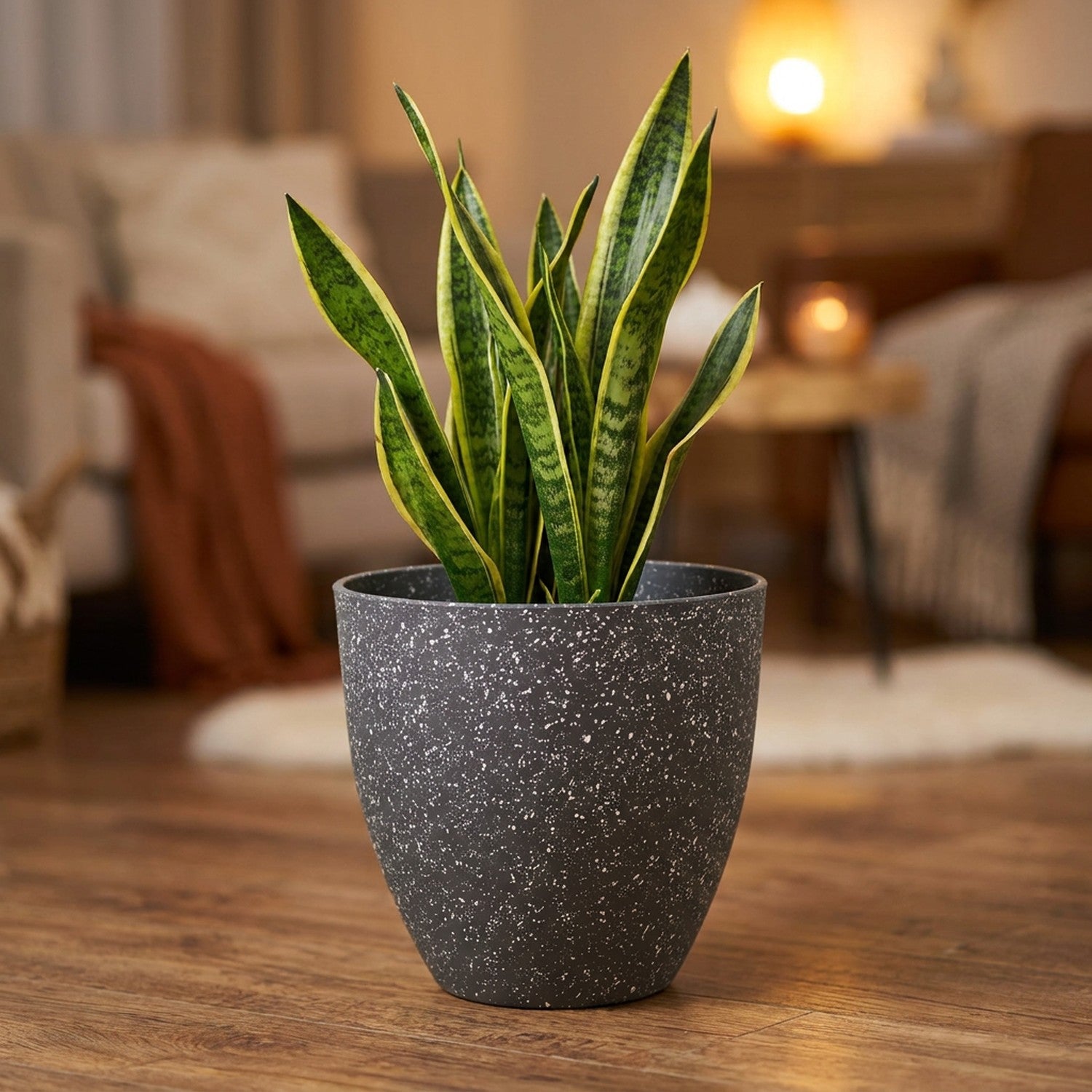 Pot de fleurs effet pierre gris moucheté avec une sansevière