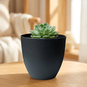 Pot de fleurs effet pierre noir mat avec une plante grasse