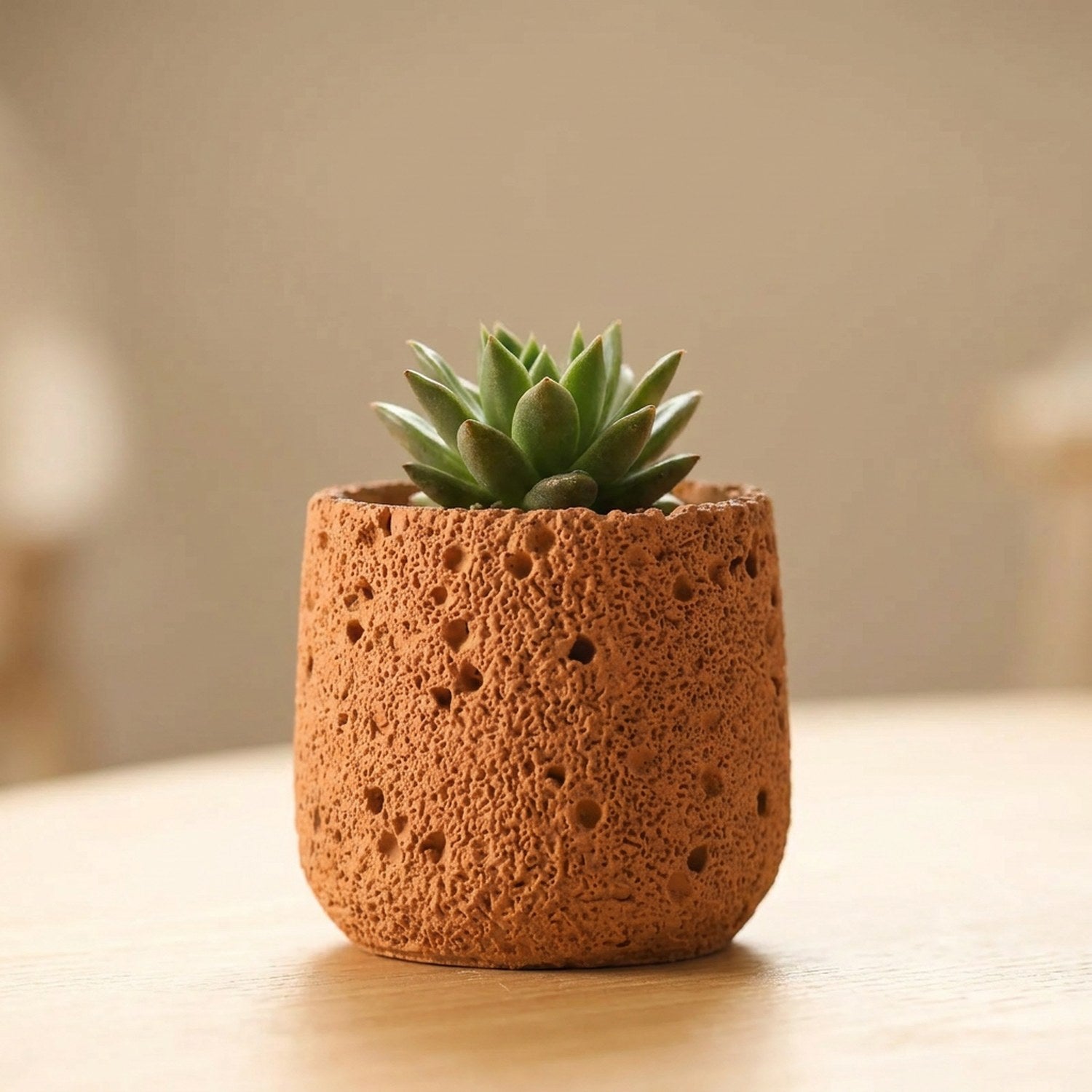 Cache-pot en ciment terracotta avec une petite succulente verte