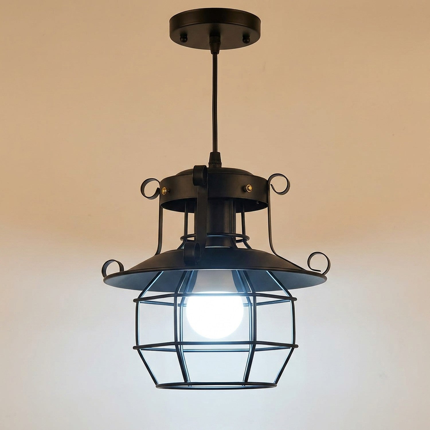 Suspension cage metal noir bistrot ampoule LED 6000K lumiere blanche
