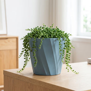 Cache-pot décoratif bleu nervuré avec plante retombante sur bureau en bois