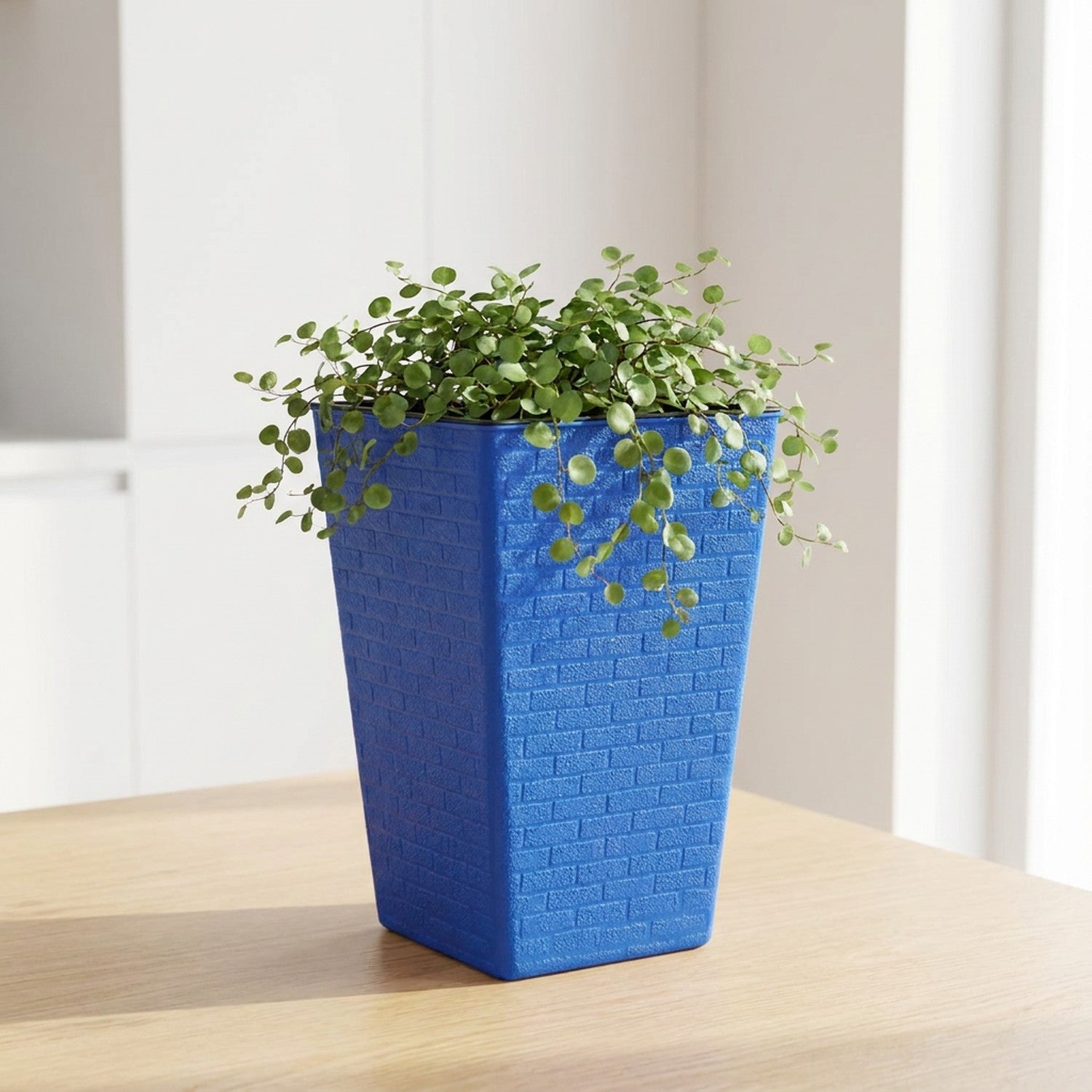 Jardinière carrée bleue texture brique avec plante retombante en intérieur minimaliste