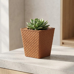 Jardinière carrée marron texture brique diagonale avec succulente sur béton clair