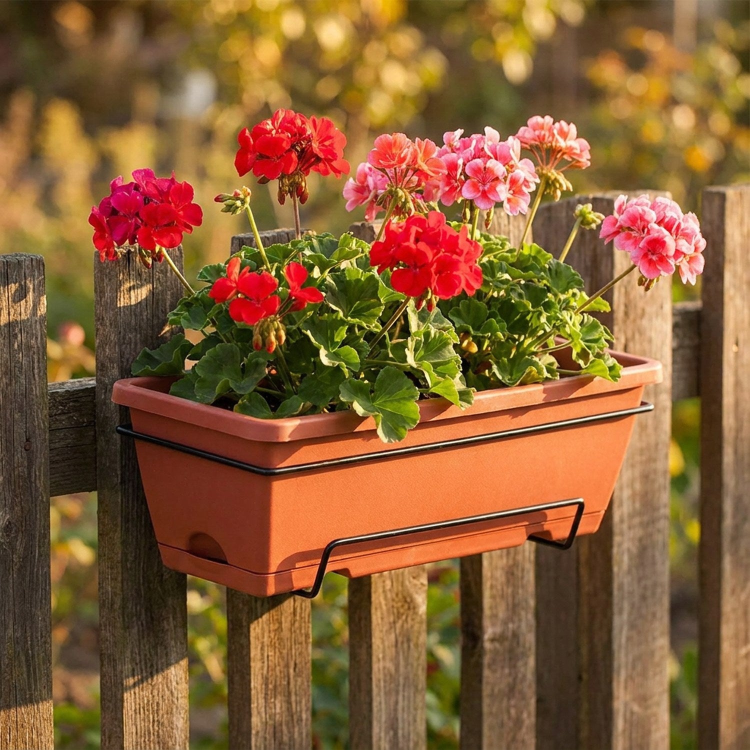 Jardinière de balcon suspendue coloris terracota avec géraniums sur clôture