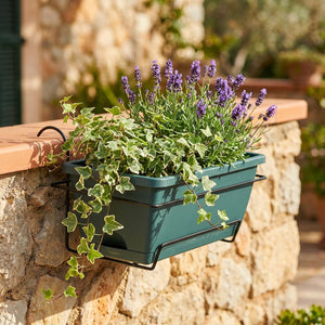 Jardinière de balcon suspendue coloris vert foncé avec lavande sur mur