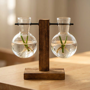 Vase à bouture deux ampoules alignées en verre sur support en bois