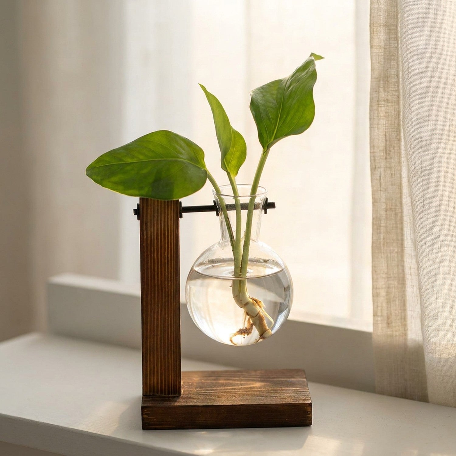 Vase à bouture sur support en bois posé sur un rebord de fenêtre