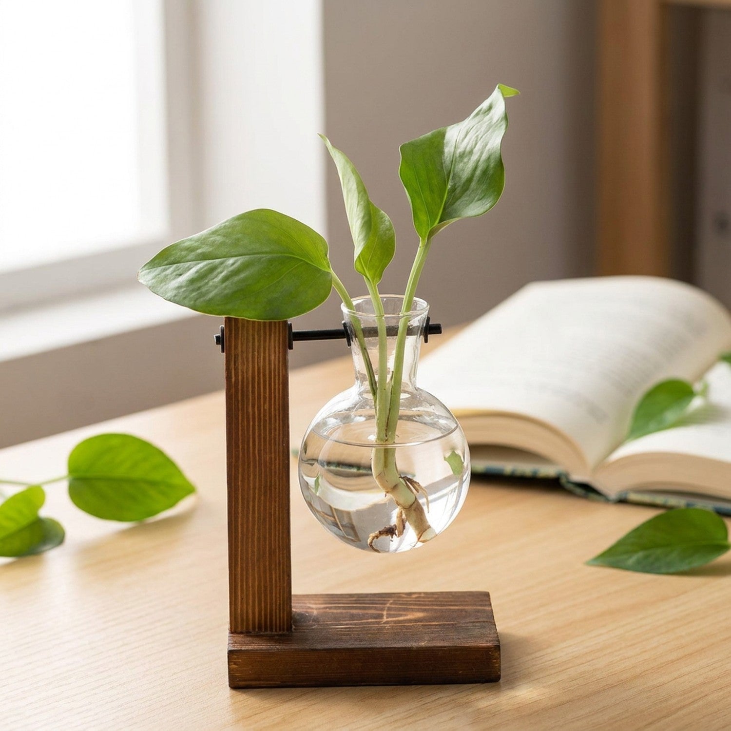 Vase à bouture en verre sur support en bois avec plante et racines posé sur un bureau
