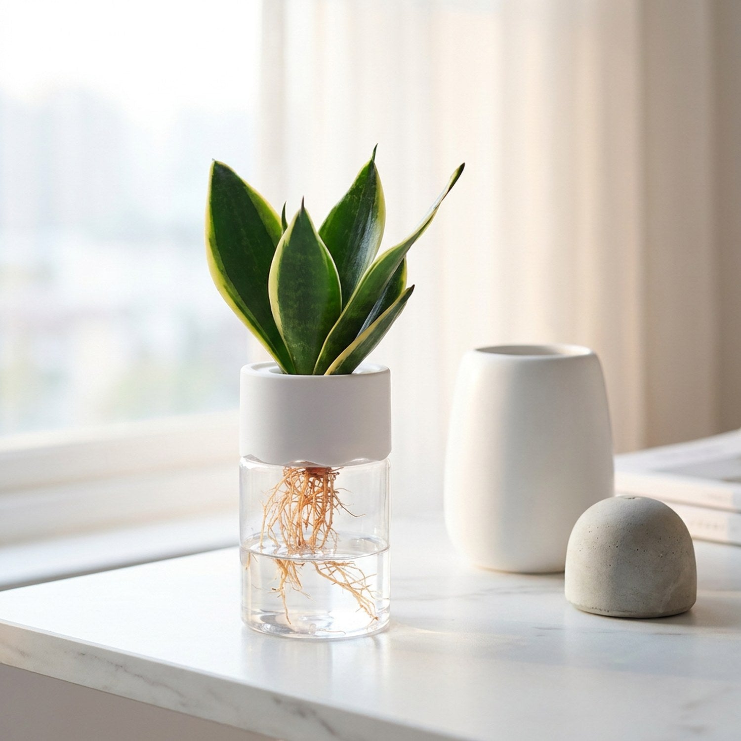 Vase hydroponique transparent sur bureau en marbre près d'une fenêtre