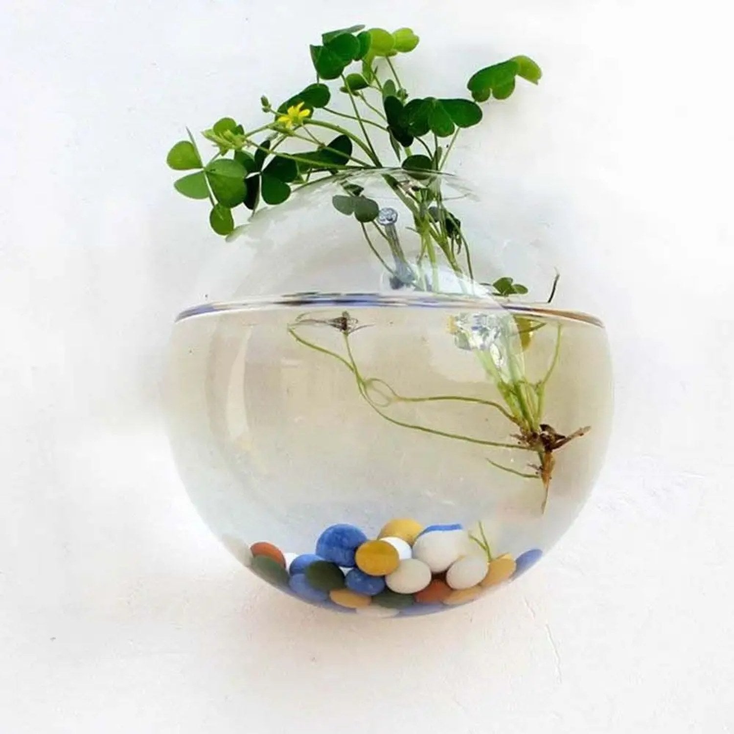 Vase mural boule en verre transparent gros plan avec pierres colorées
