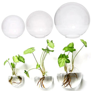 Comparaison des 5 tailles de vases muraux en verre 8cm à 15cm