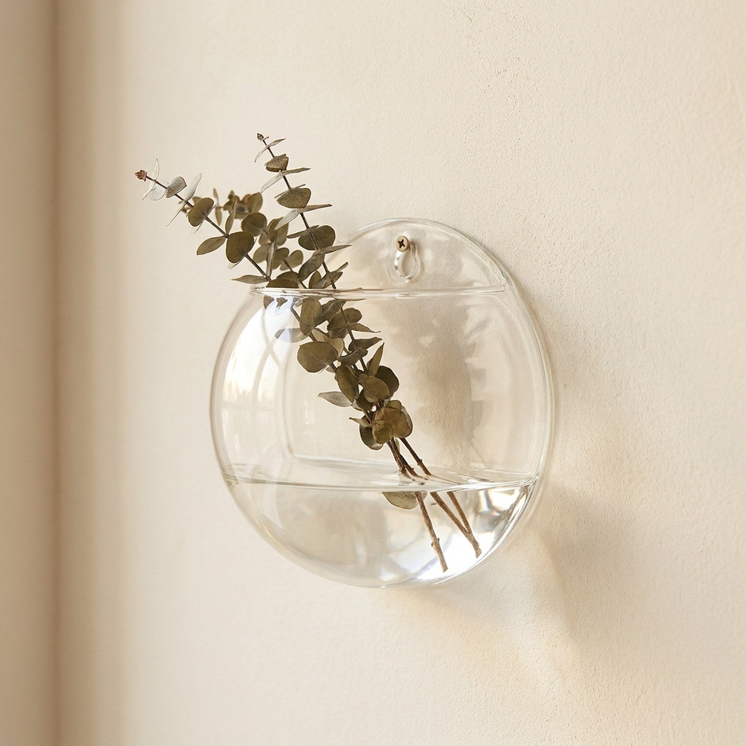 Vase mural boule en verre transparent avec eucalyptus sur mur crème