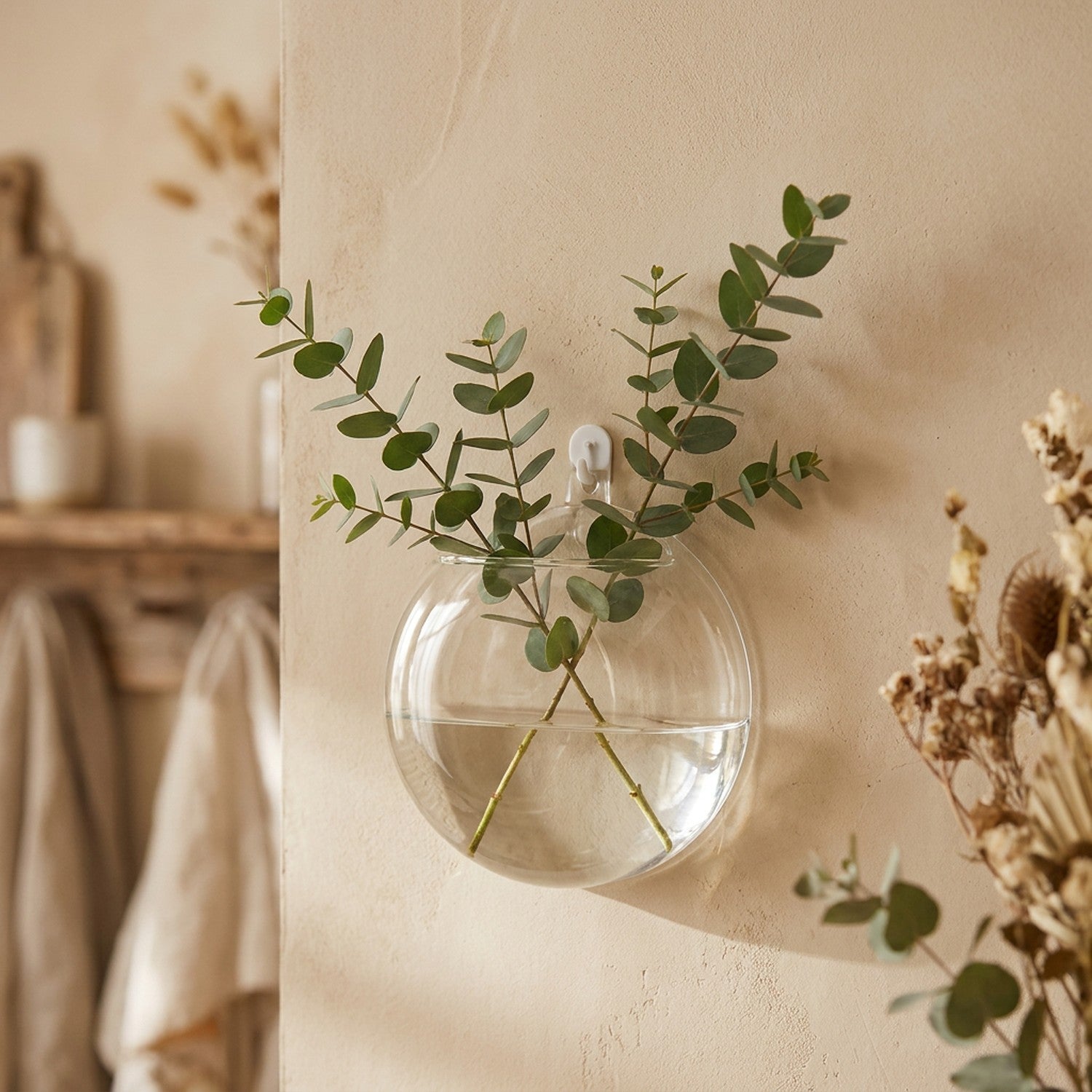 Vase mural en verre avec branches d'eucalyptus sur mur beige chaleureux