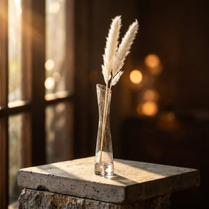 Vase design verre transparent pampas lumière dorée table béton